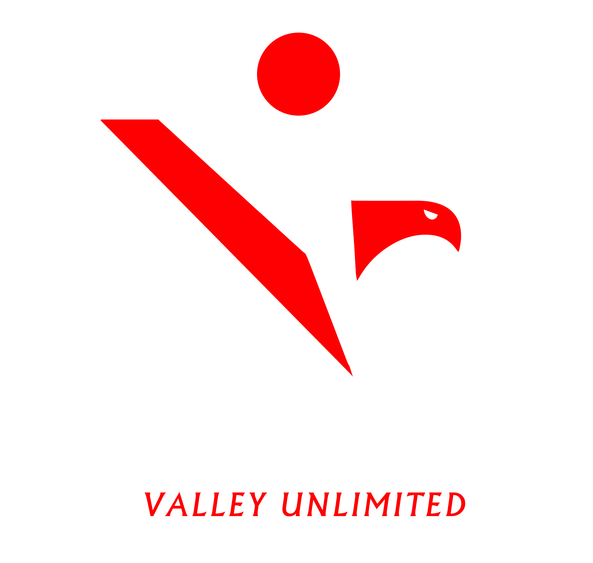 Marketing Des Réseaux Sociaux - Icon Valley Unlimited